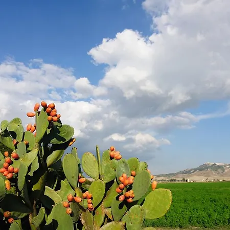 Farm stay L'orto Di Lucania Montescaglioso